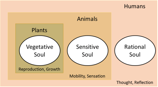 Hierarchy of Aristotle's versions of the soul