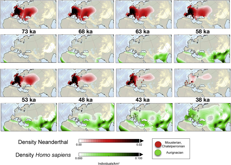A series of maps showing that as Homo sapien populations increase, Neanderthal ones decrease