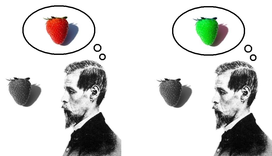 Inverted spectrum: showing one person's perception of a red strawberry equivalent to another's experience of a green one.