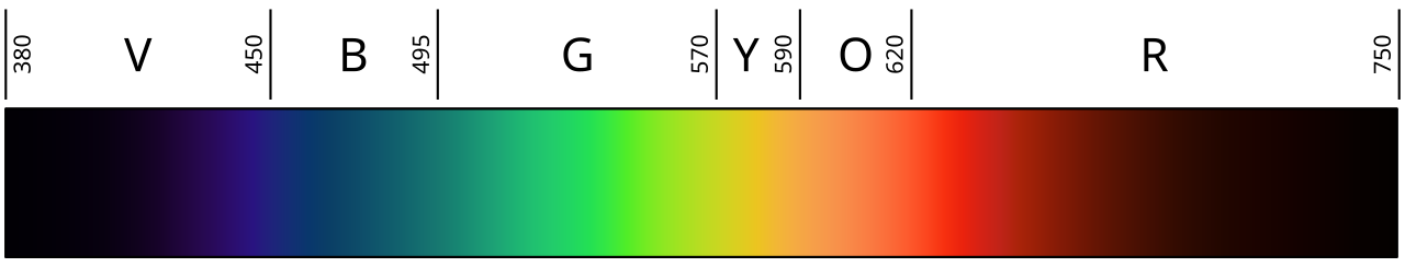A linear representation of the visible light spectrum, with the colors in wavelength order.